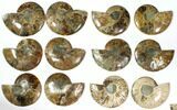 Lot: to Cut/Polished Ammonite Fossil - Pairs #117036-2